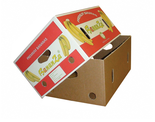 Fruit shipping box