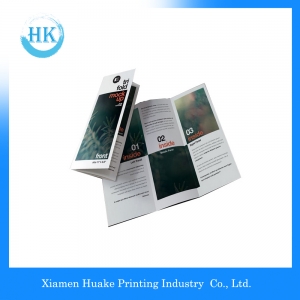 Offset Paper Printing Type Brochure Or Booklet Printing 