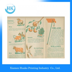 Colorful Animal Printing Brochure 