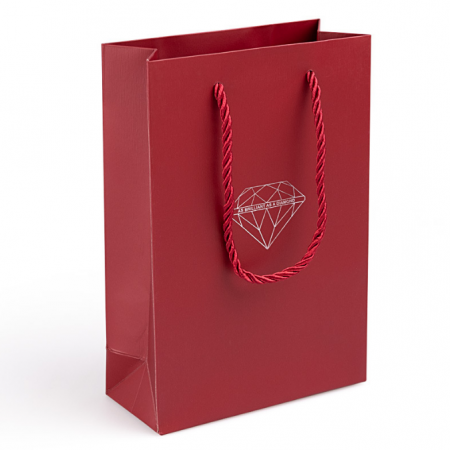 Printed Shopping Paper Bags With Logo 