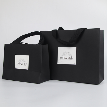 Luxury Paper Bag Printed With Ribbon Handle Custom Paper Bags With Logo Mailer Bag 