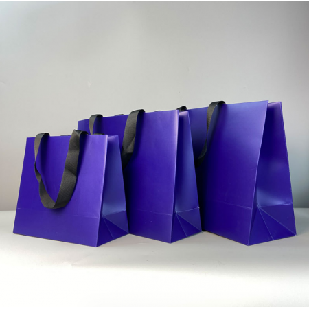 White Cardboard Paper Bag Packaging Ribbon Handle Custom Logo Bag 