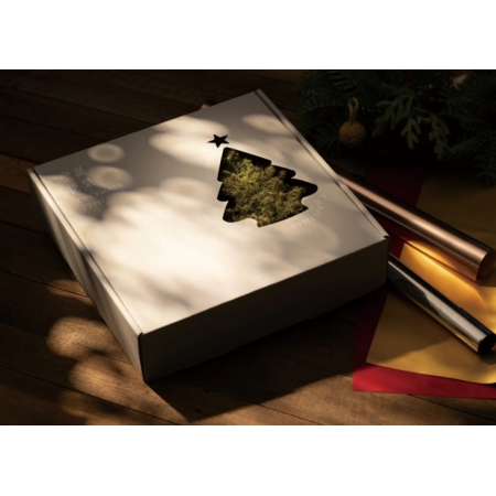 Christmas Paper Box Corrugated Mailing Packaging 