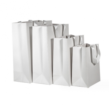 Luxury Paper Bag Packaging Branded Custom With Logo Shopping Bag 